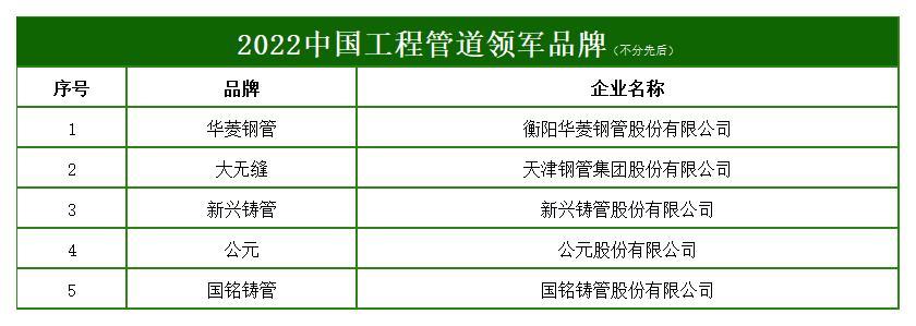 2022中国工程管道龙珠体育领军品牌(图1)
