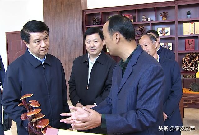 龙珠体育泰安市委书记崔洪刚到泰安高新区调研(图3)