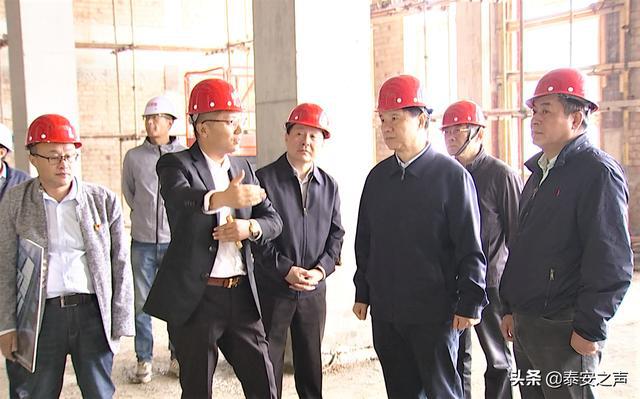 龙珠体育泰安市委书记崔洪刚到泰安高新区调研(图4)