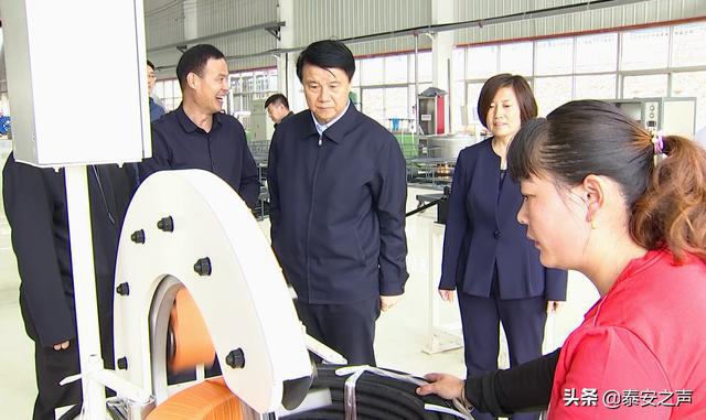 龙珠体育泰安市委书记崔洪刚到泰安高新区调研(图2)