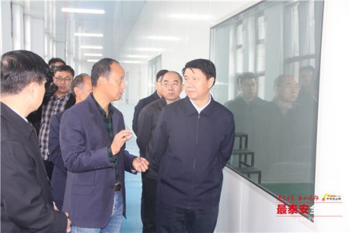 龙珠体育崔洪刚到泰安高新区调研(图4)
