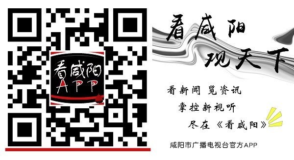 龙珠体育咸阳高新区2家企业上榜新一批建议支持的国家级专精特新“小巨人”企业名单(图9)