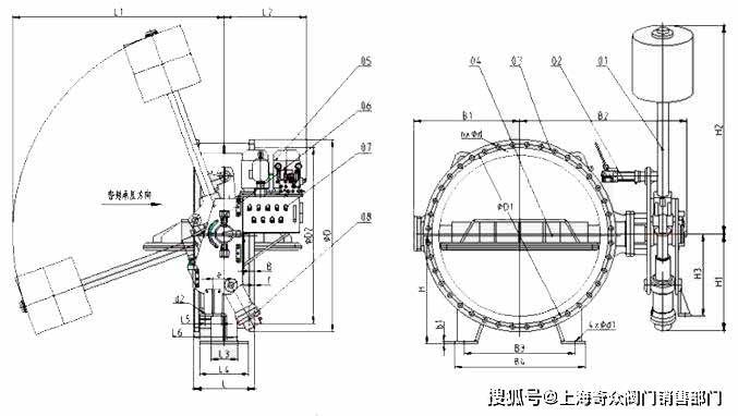 龙珠体育循环水泵重锤式液控缓闭止回蝶阀(图1)